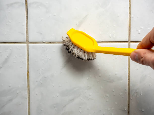  Gilmer, TX Mold Removal Pros