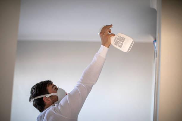 Mold Removal Process in Gilmer, TX