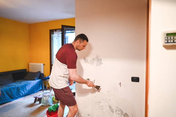 Best Same-Day Mold Removal  in Gilmer, TX